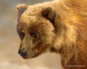 Portrait of a Grizzly Bear