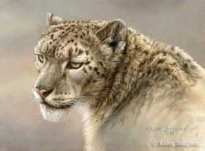 Serenity - Snow Leopard Portrait
