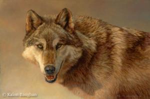 Portrait of a Gray Wolf