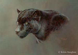 Shadow Hunter - Black Jaguar